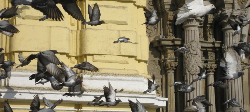 El tiempo pasa&nbsp;volando