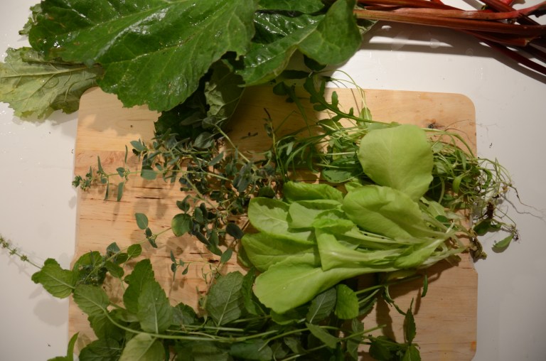 örter och sallad egenodlad i pallkrage