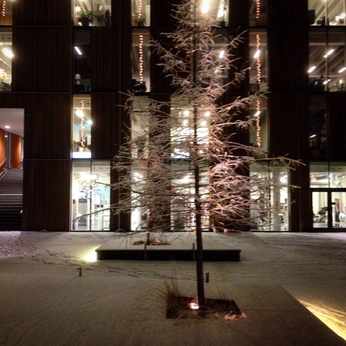 iksu plus i vinterskrud