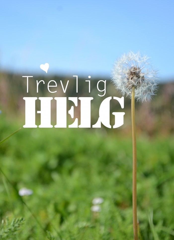 trevlig helg maskros