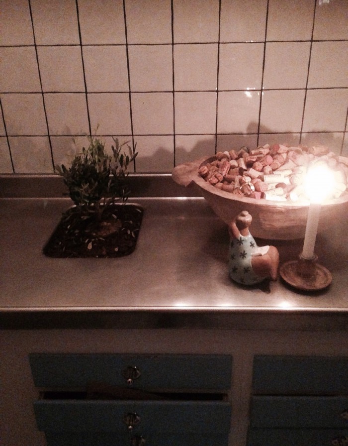 köksbaren planta i köksho