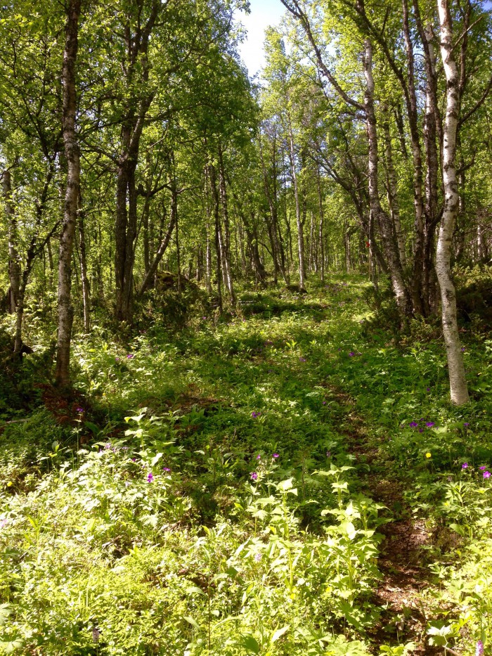 Geråive fjällvandring