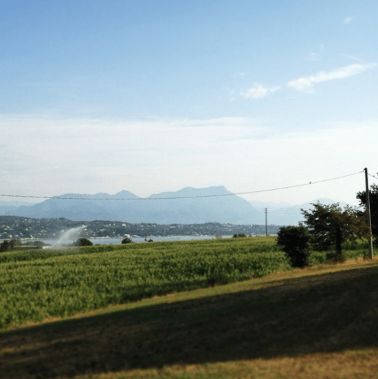 skc3a4rmavbild-2013-08-20-kl-12-06-05-550x551