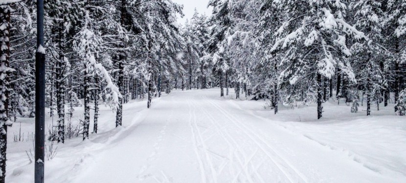 Yoga och utomhusnjutning – v.9&nbsp;2017