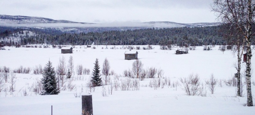 Födelsedagsfar, terrordåd och fjälltur – v.14&nbsp;2017