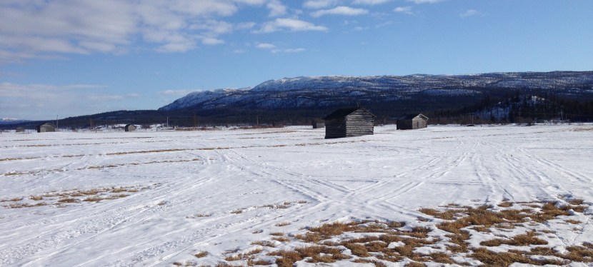 Påsk, skidor och solsken – v.15&nbsp;2017