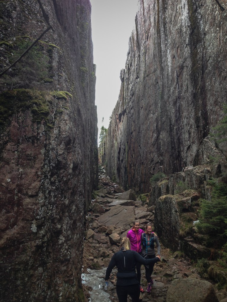 Trailrunning skuleskogen höga kusten (12)