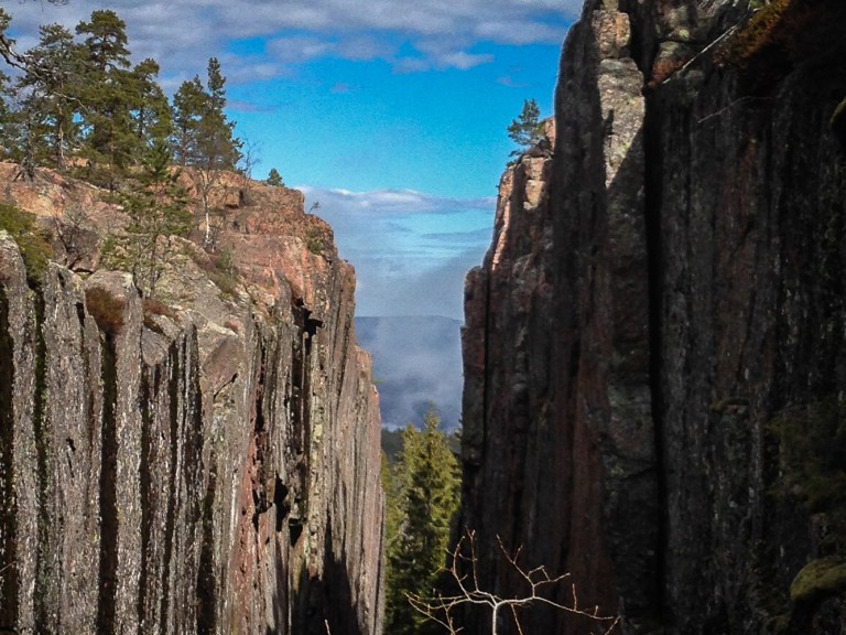 Trailrunning skuleskogen höga kusten (16)