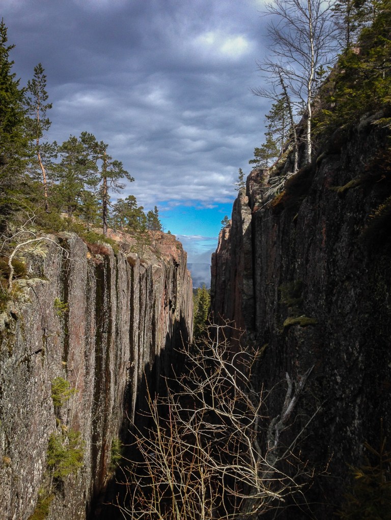 Trailrunning skuleskogen höga kusten (2)