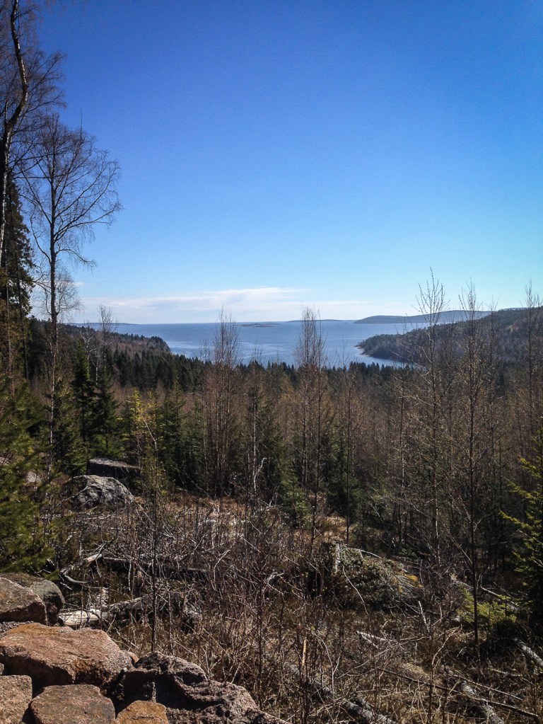 Trailrunning skuleskogen höga kusten (4)