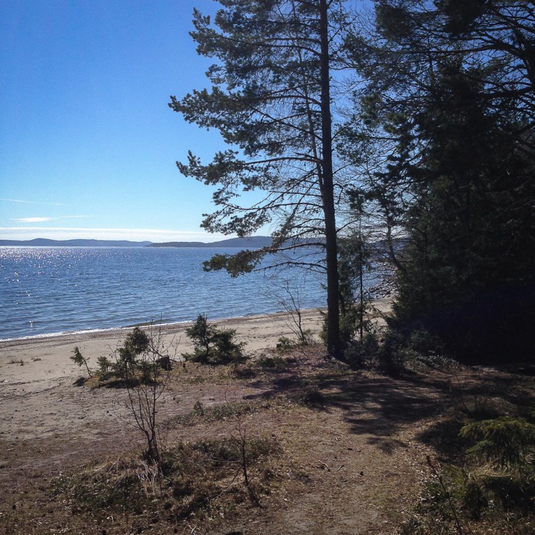 Trailrunning skuleskogen höga kusten (6)