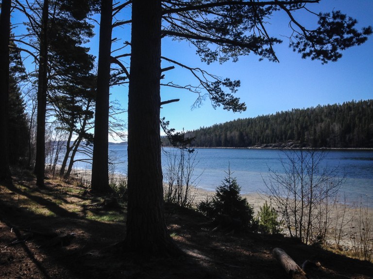 Trailrunning skuleskogen höga kusten (7)