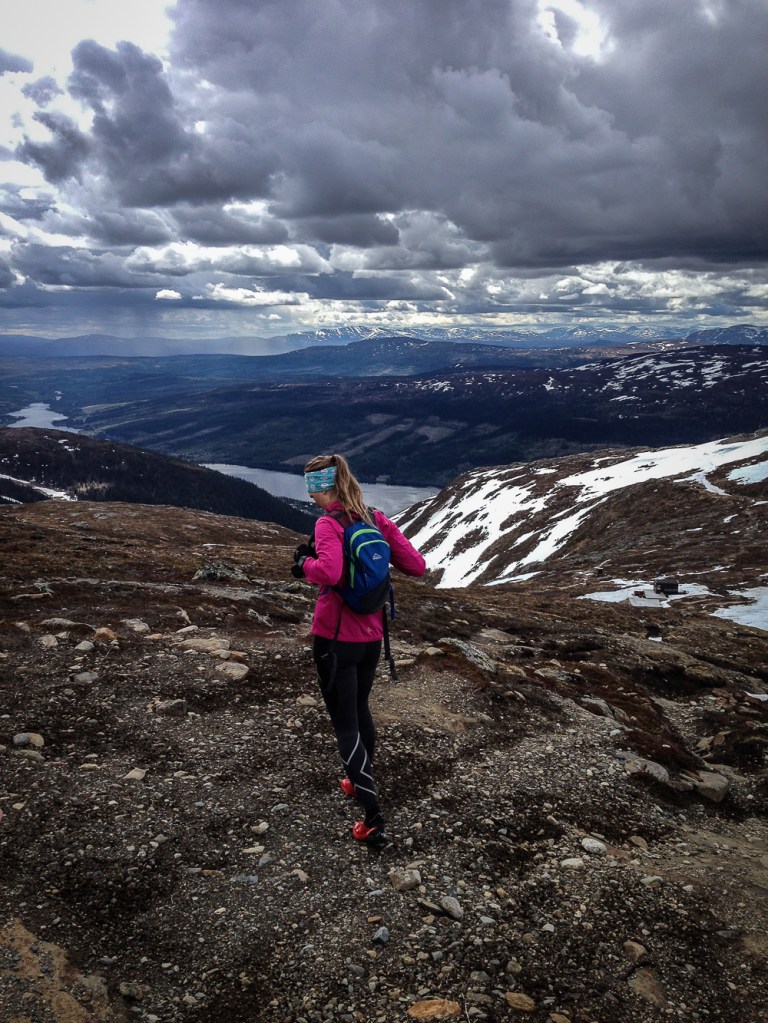 Topptur Åreskutan sommar (10 of 11)