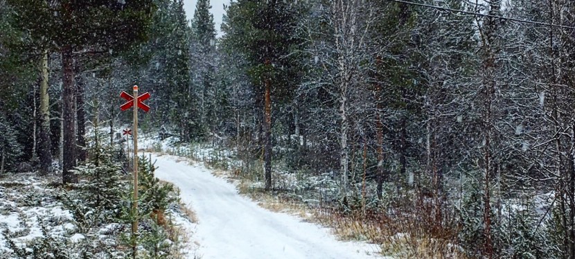 Stugan, skidpremiär och en stor dag på jobbet – v.44&nbsp;2017