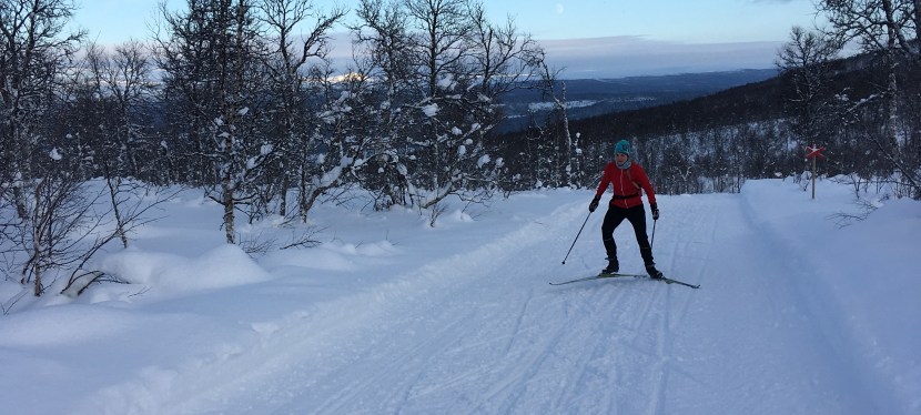 ”En liten sväng upp på Äivesåive”