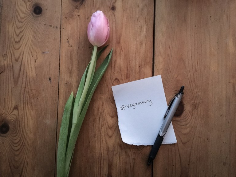 veganuary (3 of 3)
