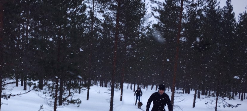 Skidsäsongen 17-18 summering