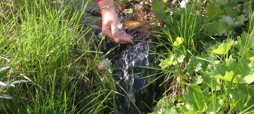 Världshälsodagen – 5 saker att&nbsp;uppskatta
