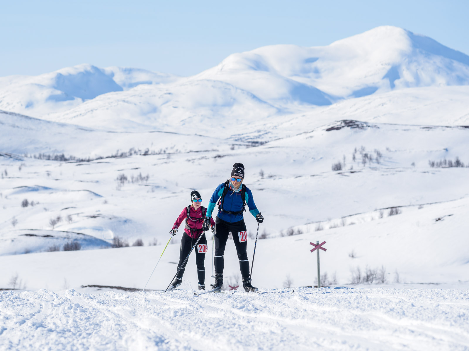 rennet-2018-lag208-001