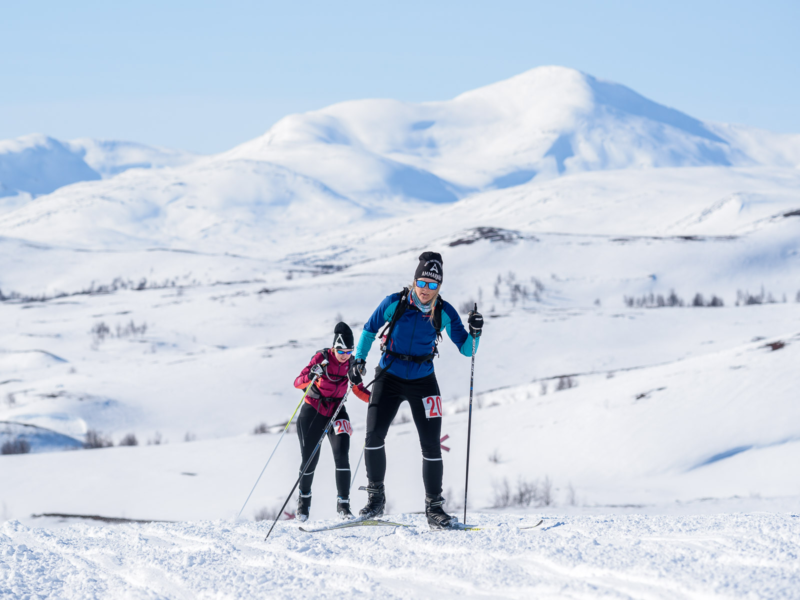 rennet-2018-lag208-003