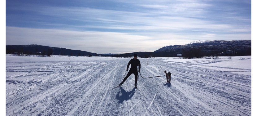 Vilken perfekt påsk