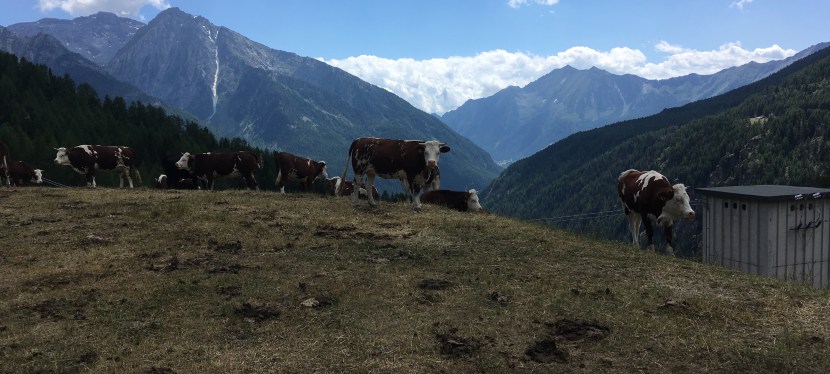 Buongiorno Champoluc