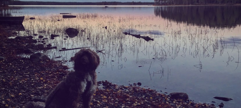 Stiglöpning och träningsinspo