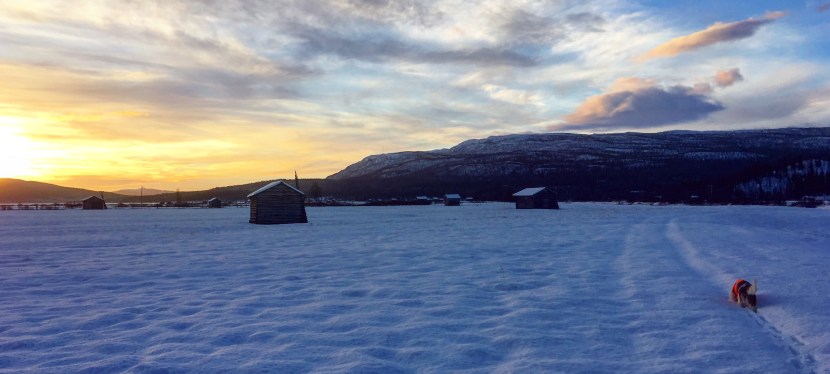 November i Ammarnäs