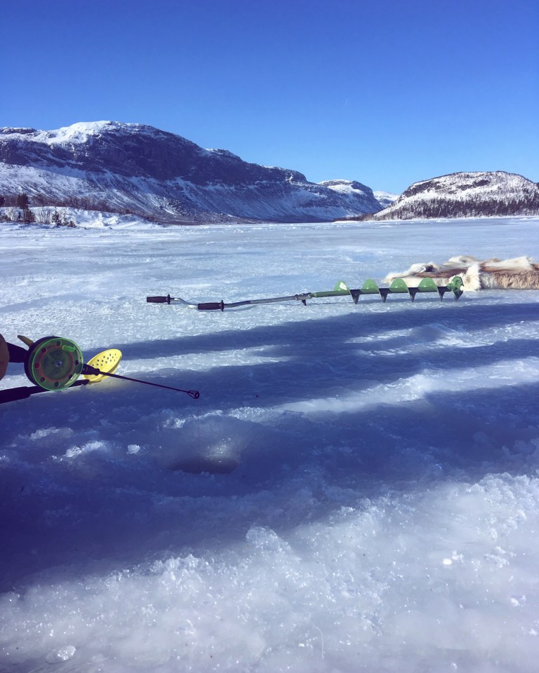 48dde261-2daf-4c4e-b110-64c26d83a8eb