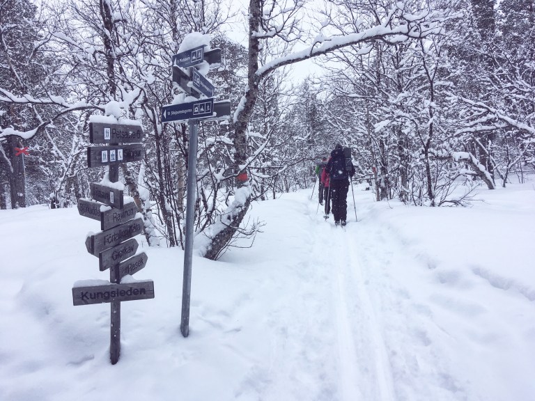 8f01b7b2-9f7a-4b2c-98d5-234817884dd4