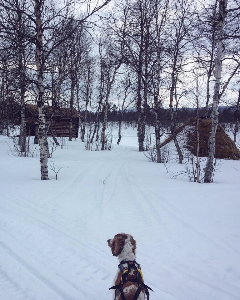 0436140b-c449-421d-807c-4919257e5556