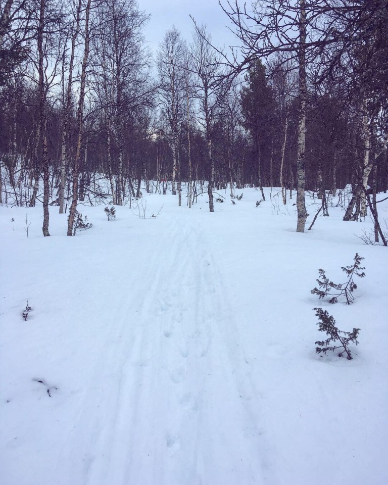 1c3b18d3-3159-48d3-b104-cc74bbc5c75e