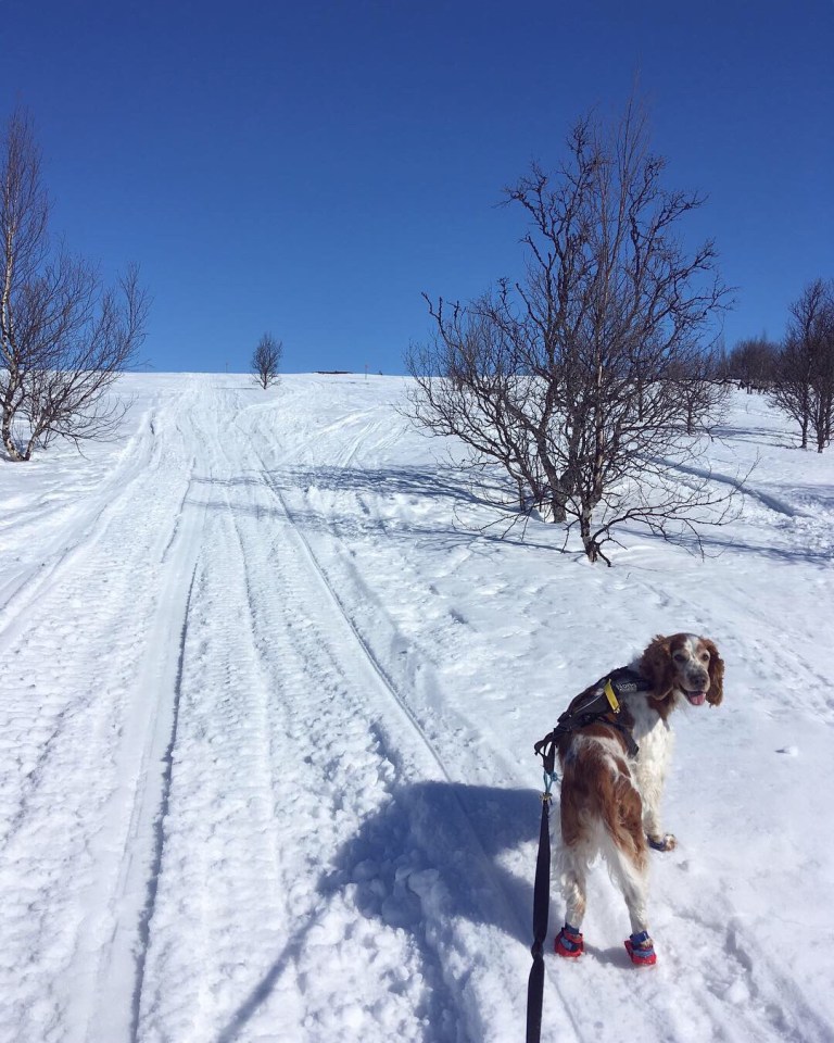 3844945c-f093-4a2d-ac60-6ba77f47873c