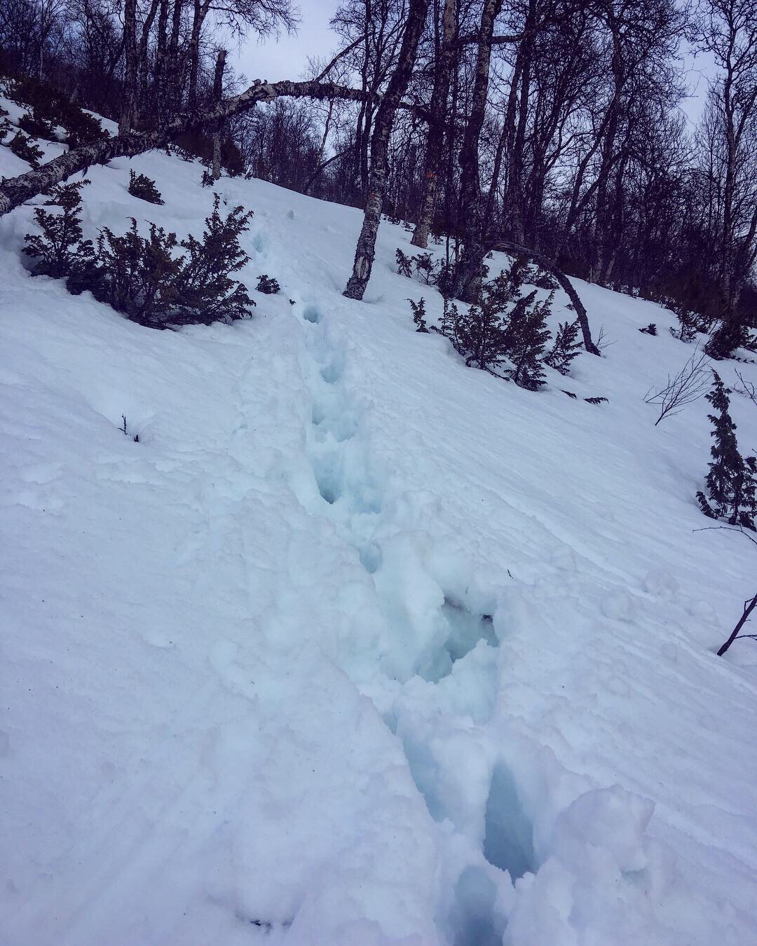 38b84835-4e20-46e2-b8c7-9087d9ccf9d8