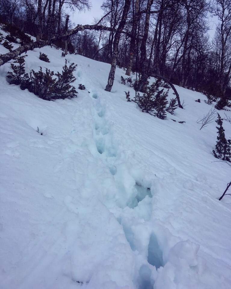 38b84835-4e20-46e2-b8c7-9087d9ccf9d8