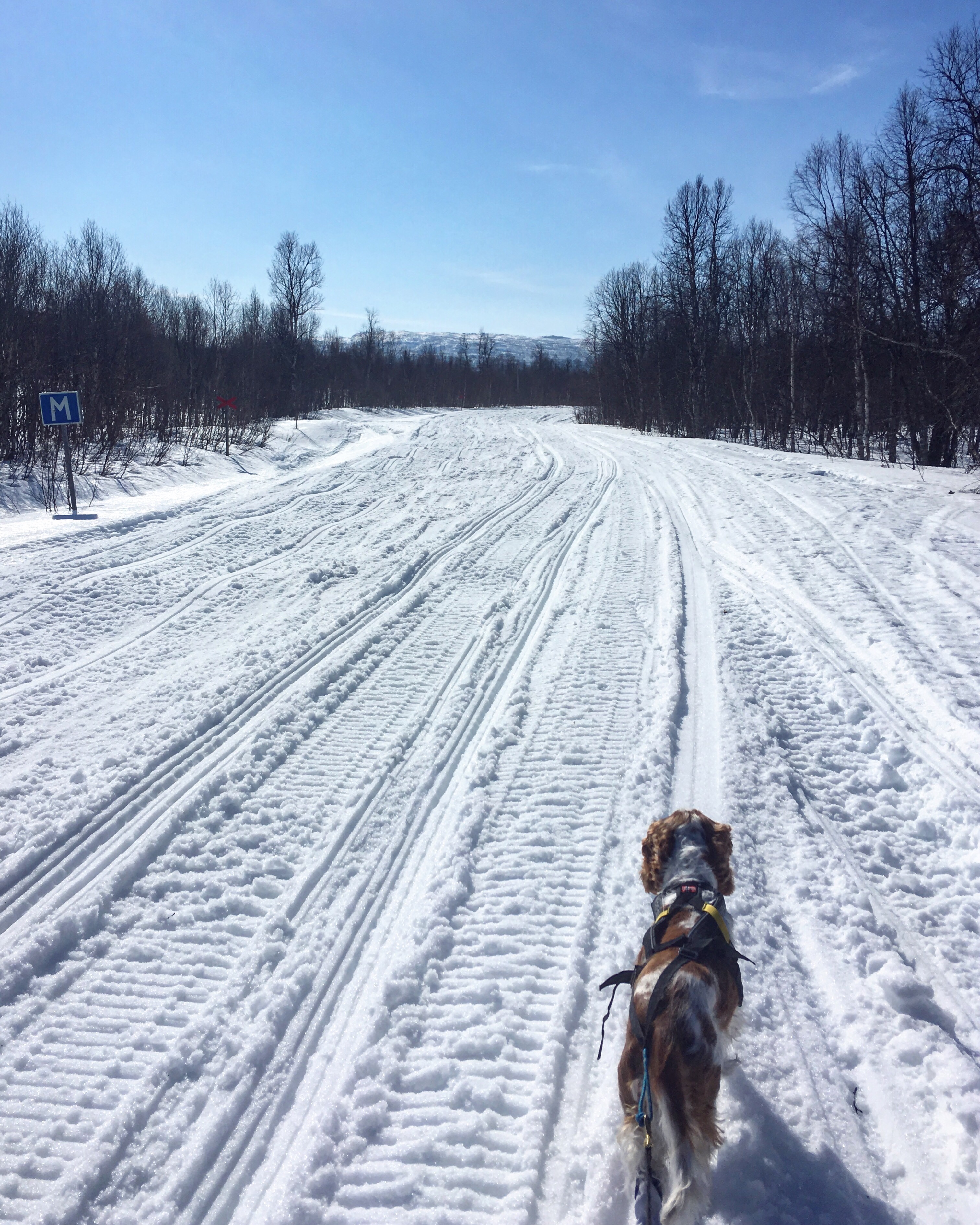 3937d701-c5ac-4065-87a9-86fbfa98a8e6