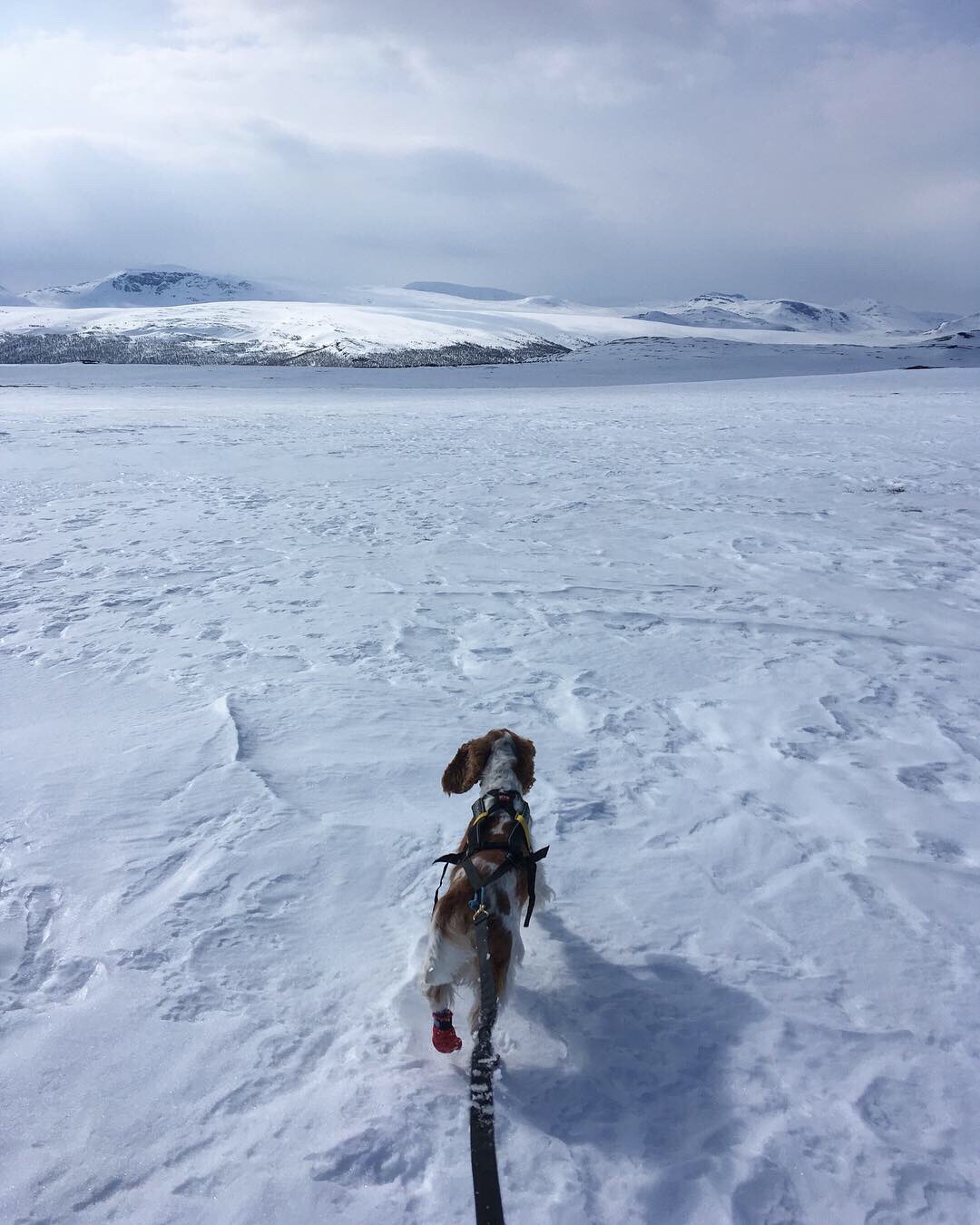 4307b42c-583a-457b-bf06-c598ad41537a