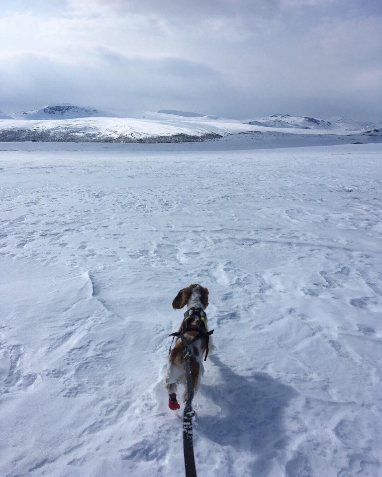 4307b42c-583a-457b-bf06-c598ad41537a