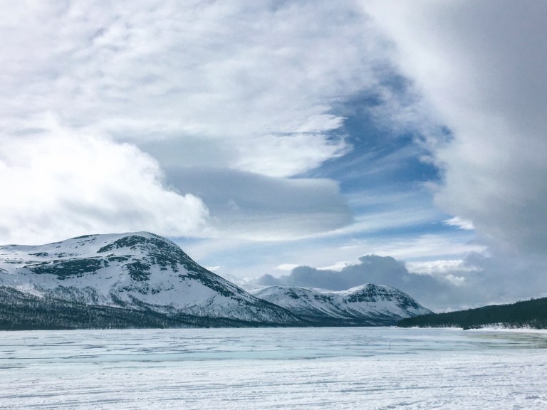 81c01eae-b554-4169-b33b-27c126035d76