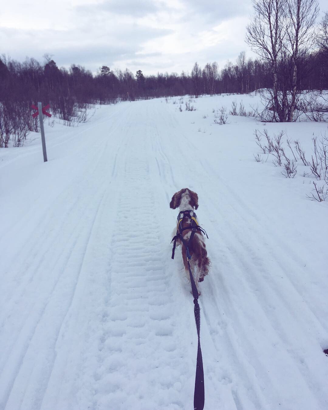 cf426157-abb5-48e5-8a02-9e84bd2c3a75