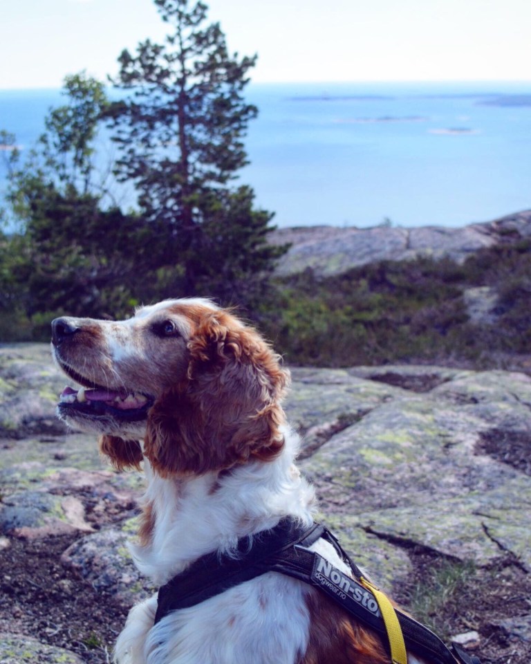 ddfb4a73-228a-44f1-9413-98420bb7aa22