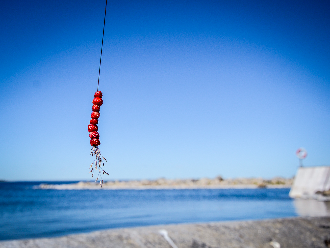 stora fjäderägg (1 of 1).jpg