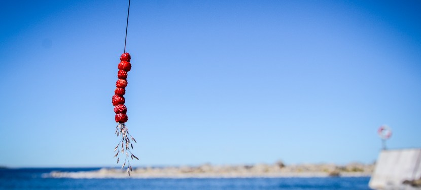 Semester och lite&nbsp;halvårstankar