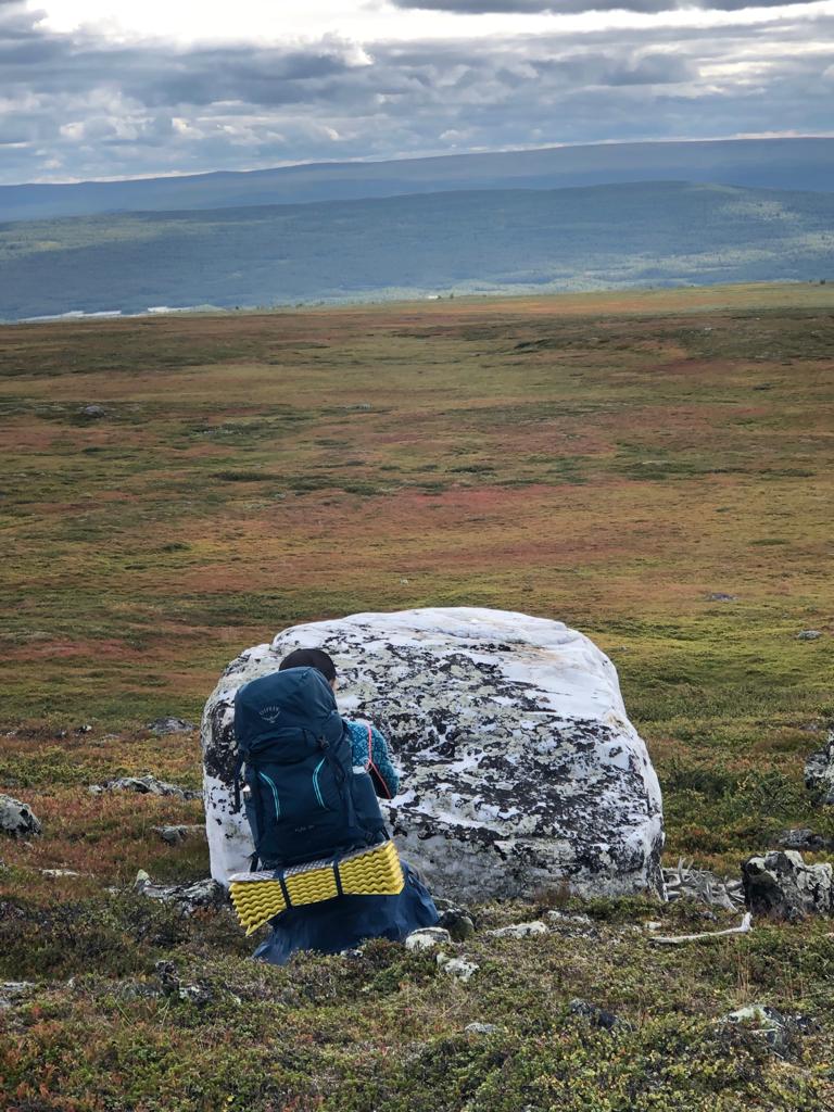 136d10dd-2364-4b83-a5c2-c0e2c41698dd