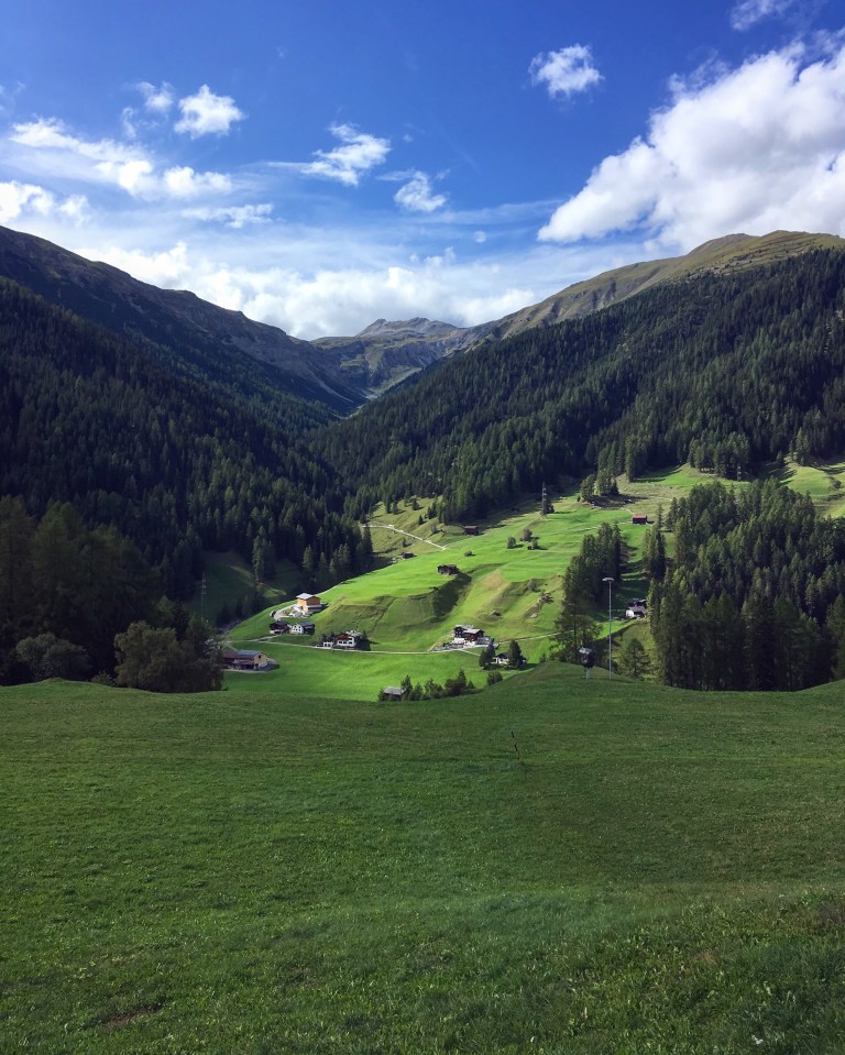 d6bb6142-4c68-4581-9e05-3e9535639e2c