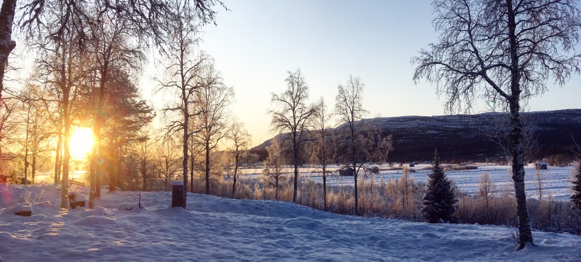 Allhelgona och skidpremiär i&nbsp;Ammarnäs