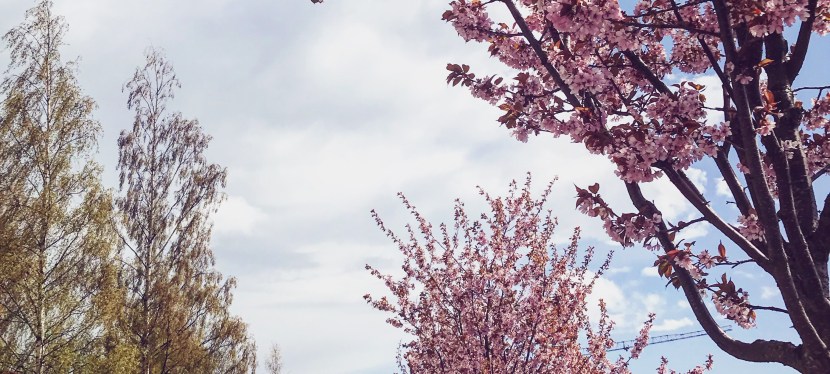 Äntligen sommar! (och&nbsp;sommarplaner!)